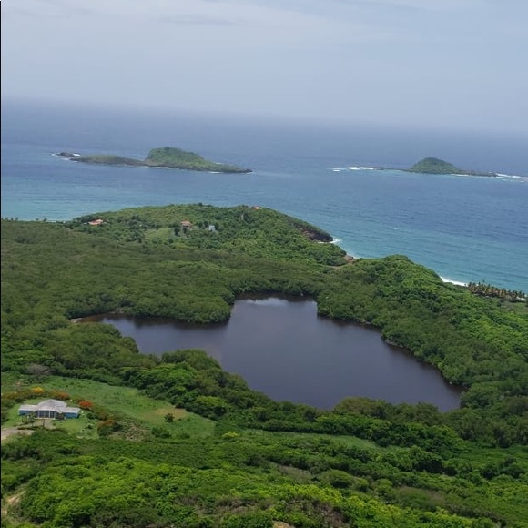 Meet your Posher, Andrea - Picture 1 of 1